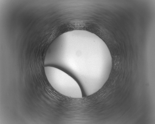 X0000062130866200512090948
