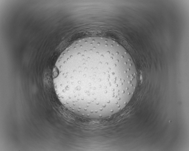 X0000062130867200512090948