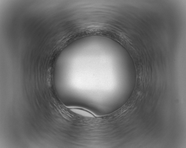 X0000062130868200512090948