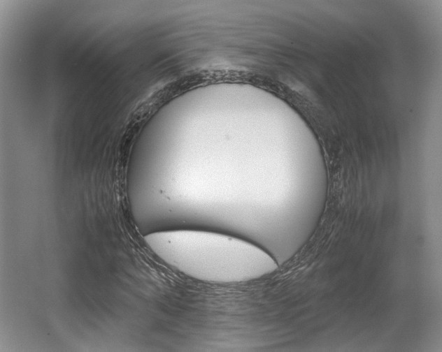 X0000062130870200512090948