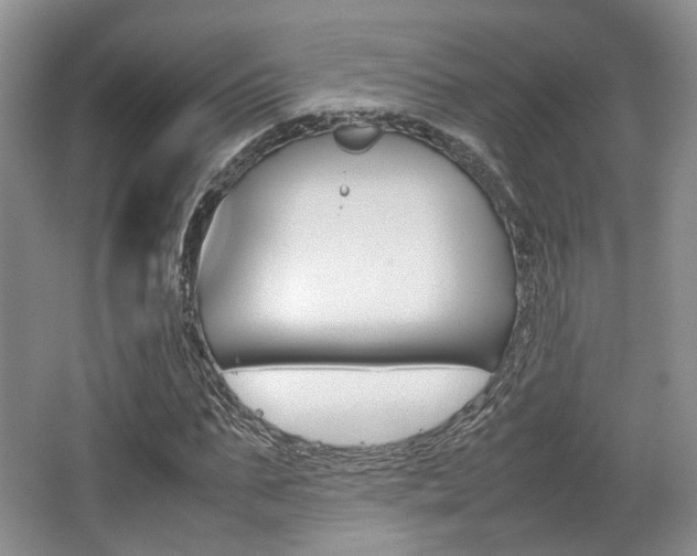 X0000062130871200512090948