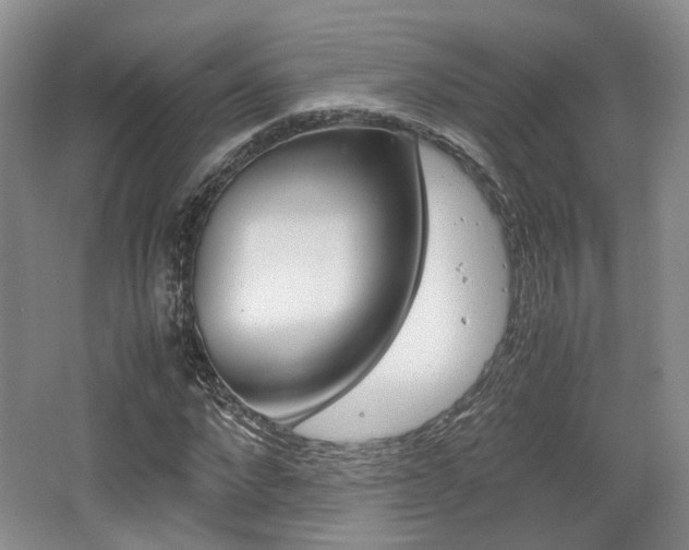 X0000062130872200512090948