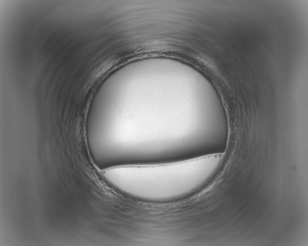 X0000062130873200512090948