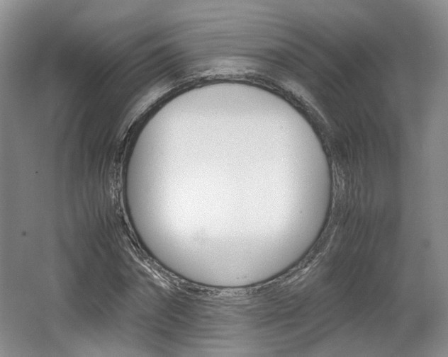 X0000062130874200512090948