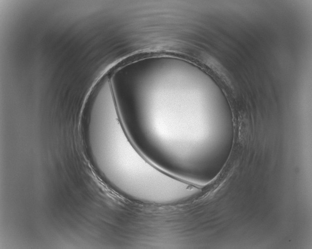 X0000062130876200512090948