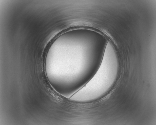 X0000062130877200512090948