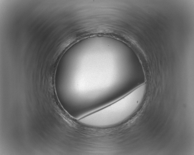 X0000062130881200512090948