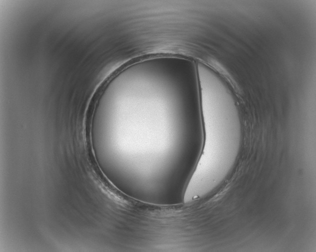 X0000062130884200512090948