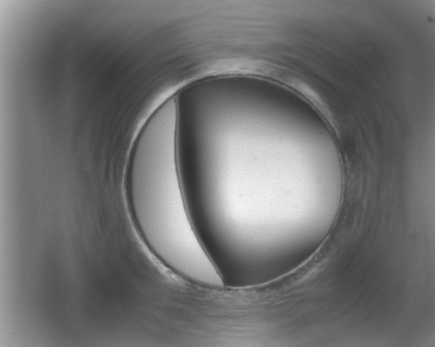 X0000062130901200512090947