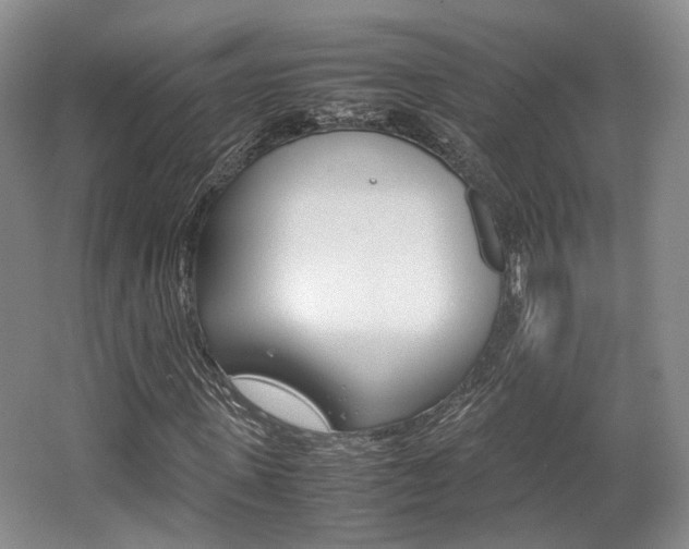 X0000062130915200512090947