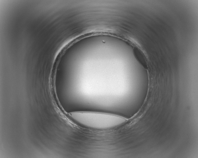 X0000062130928200512090947