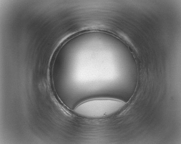 X0000062130932200512090947