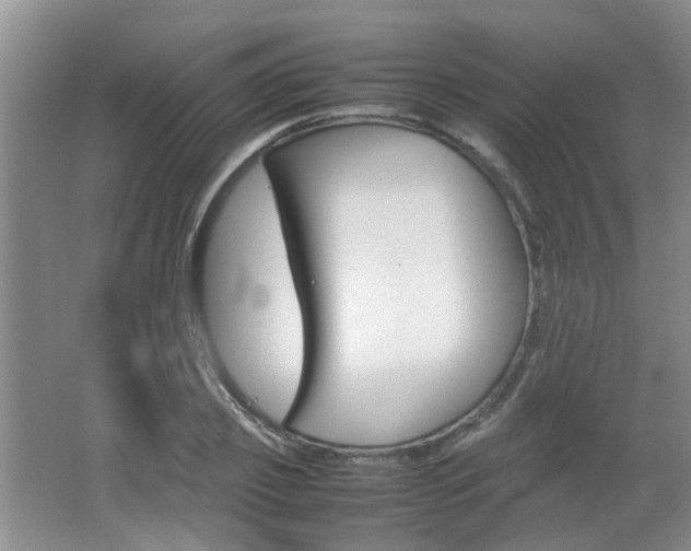 X0000062130933200512090947