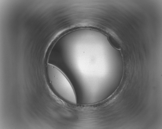 X0000062130934200512090947