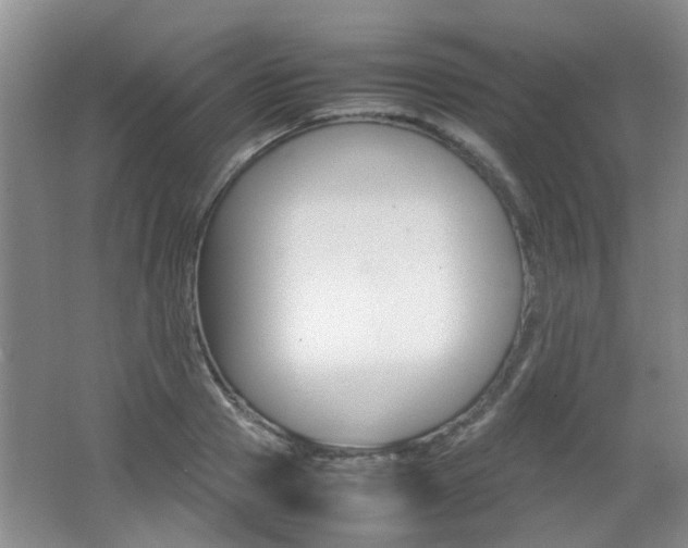 X0000062130937200512090947