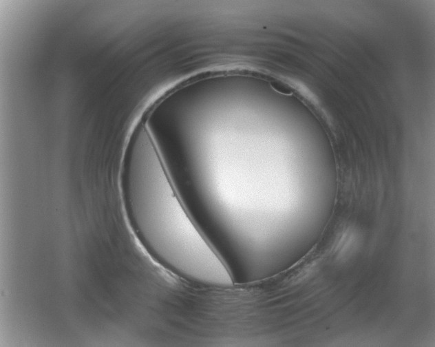 X0000062130943200512090947