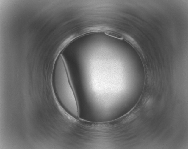 X0000062130946200512090947