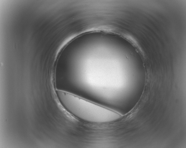 X0000062130952200512090947