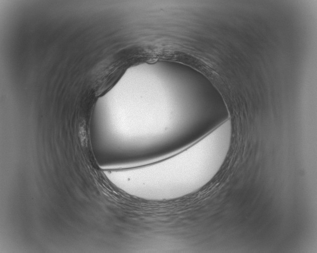 X0000062130963200512090946