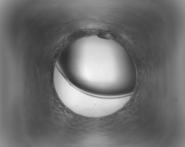 X0000062130965200512090946