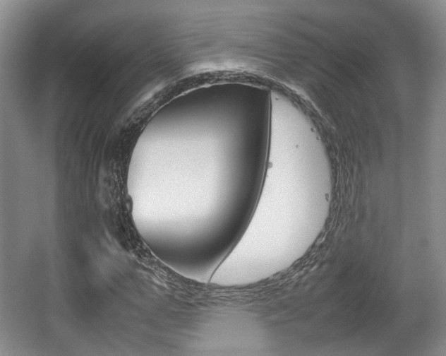 X0000062130967200512090946