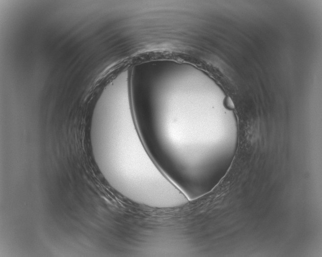 X0000062130968200512090946