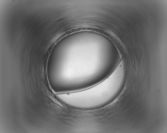 X0000062130969200512090946