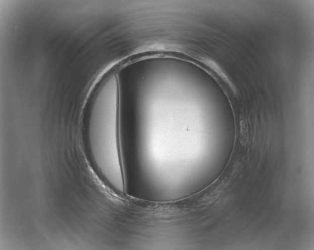 X0000062130972200512090946
