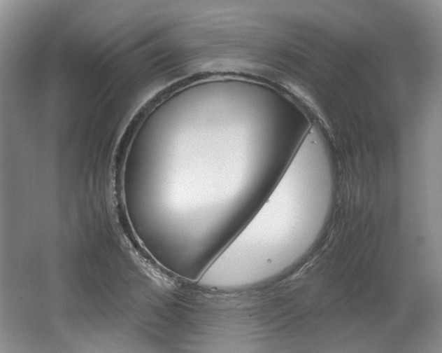 X0000062130976200512090946