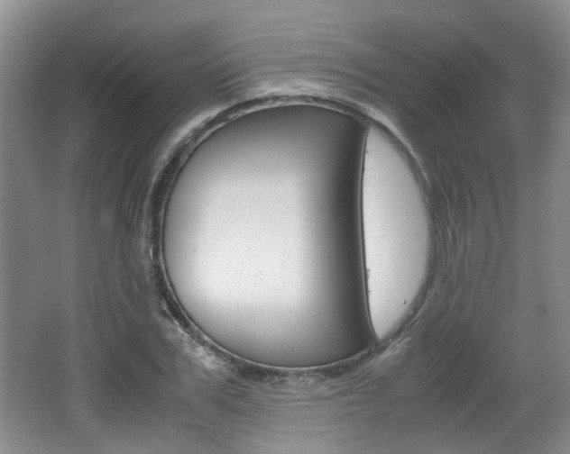 X0000062130979200512090946