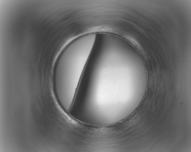 X0000062130992200512090946