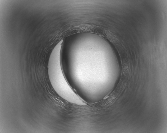 X0000062131010200512090945