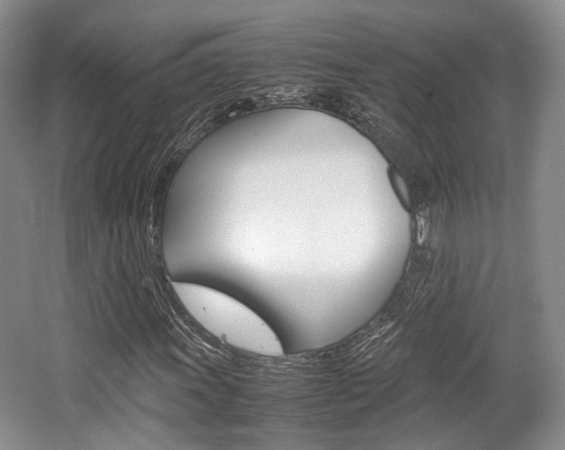 X0000062131011200512090945