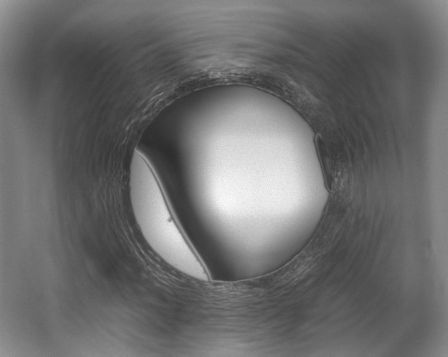 X0000062131012200512090945