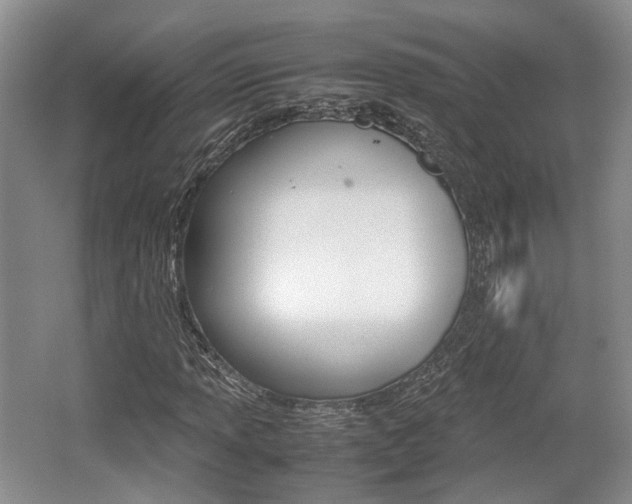 X0000062131013200512090945