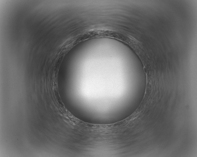 X0000062131014200512090945