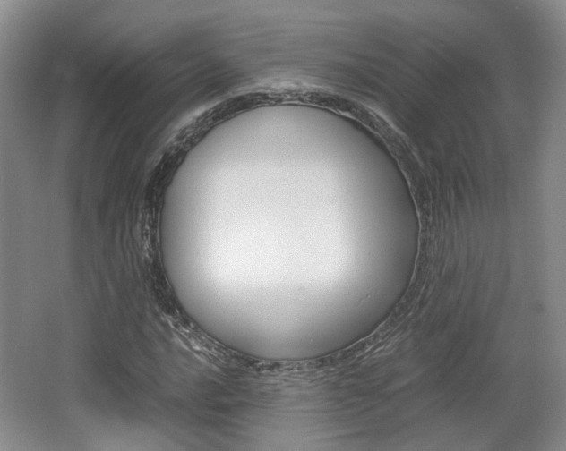 X0000062131016200512090945