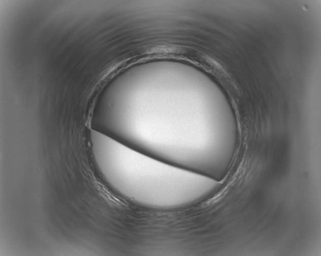 X0000062131017200512090945