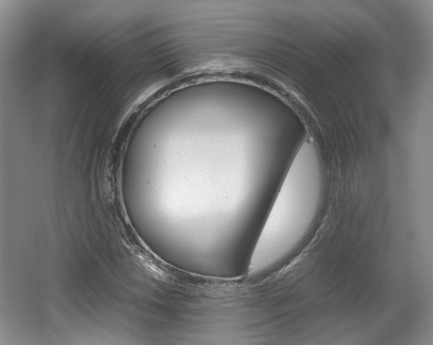 X0000062131018200512090945
