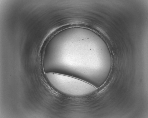 X0000062131021200512090945