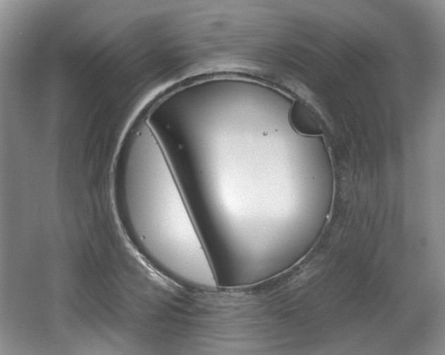 X0000062131024200512090945