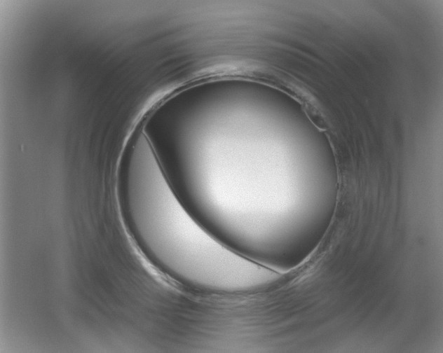X0000062131034200512090945