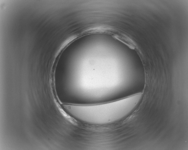 X0000062131042200512090945