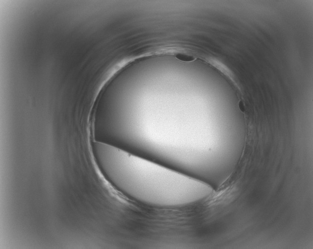 X0000062131047200512090946