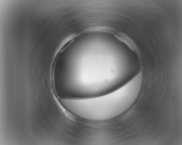 X0000062131050200512090946