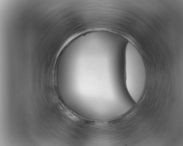 X0000062131052200512090946