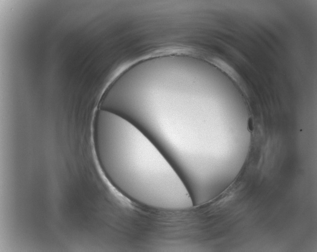 X0000062131055200512090946