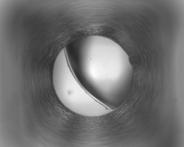 X0000062131058200512090945