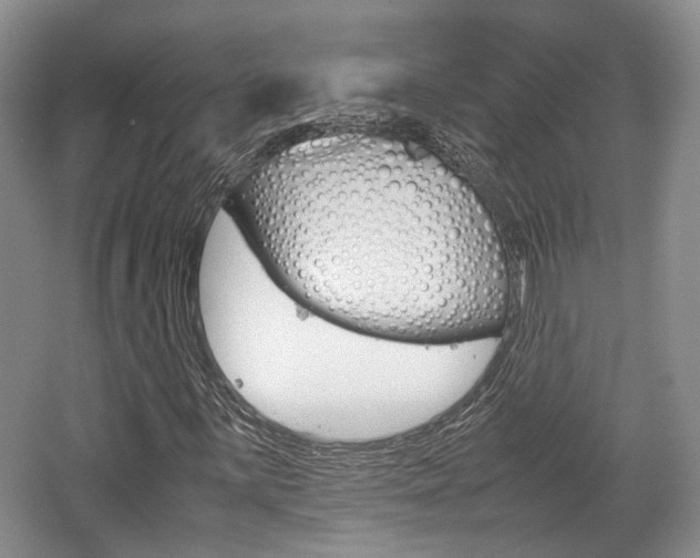 X0000062131059200512090945