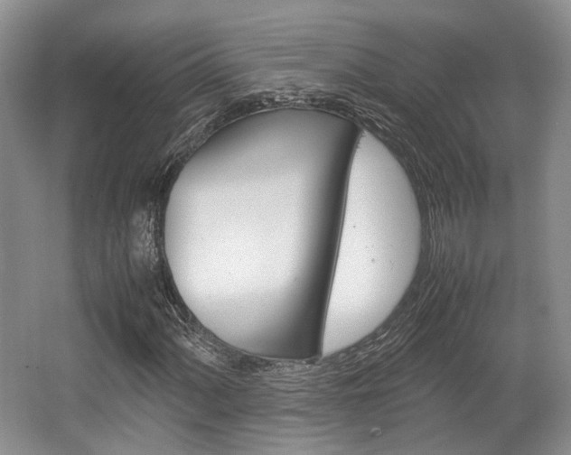 X0000062131060200512090945